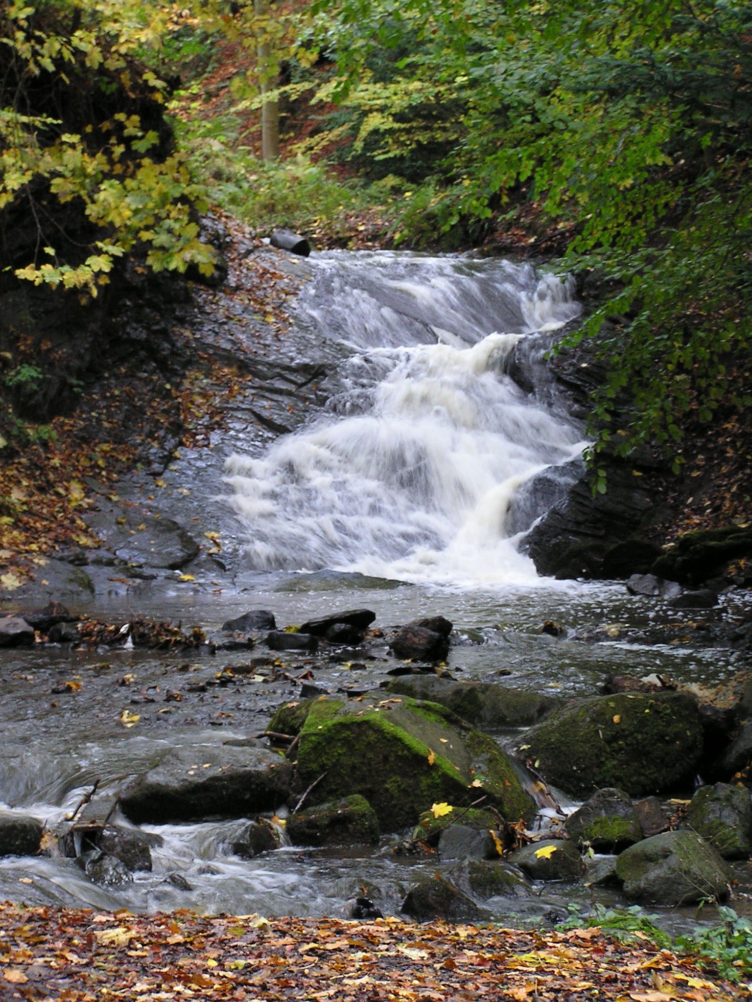 Rushing stream surrounded by rocks, moss and lush green trees