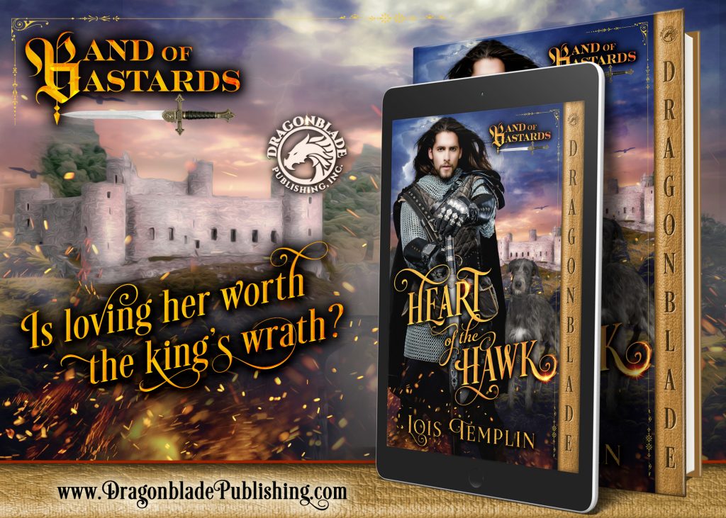 Book cover for Heart of the Hawk. Chain mail clad knigh with long black hair and piercing eyes with hands folded over hilt of sword. Grey Wolfhound stands at his side and a stone castle is in the background.